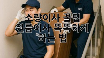 소량이사 꿀팁🍯 원룸이사 똑똑하게 하는 법!